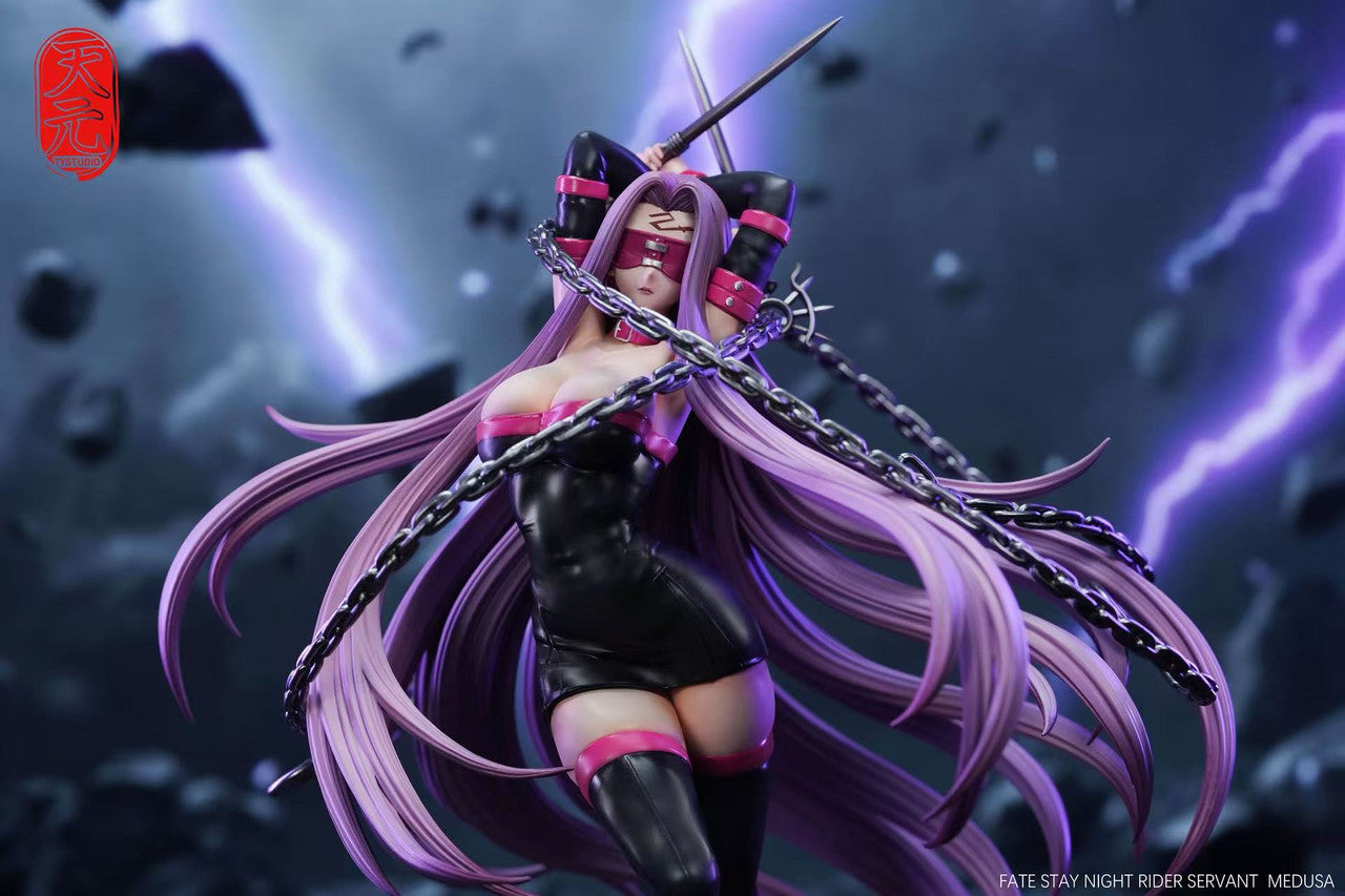 [Pre-Order] TY Studio - Statue - fate/stay - night Rider