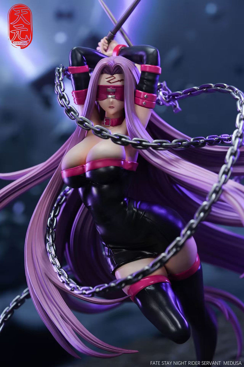 [Pre-Order] TY Studio - Statue - fate/stay - night Rider