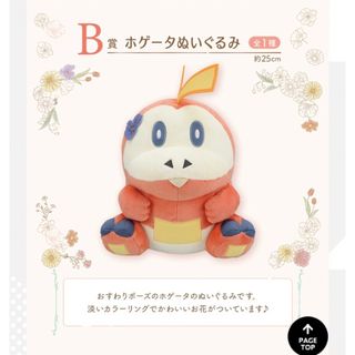 Ichiban Kuji Pokemon Blooming Days Plush Doll B Prize Fuecoco