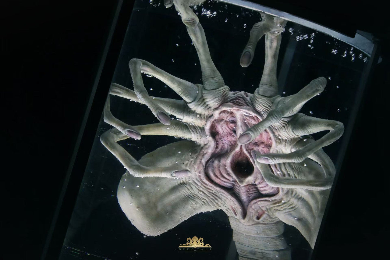 [Pre-Order] Deep Tale Studio - Statue - Alien - Facehugger Stasis Chamber