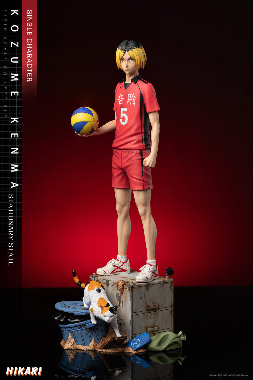 [Warehouse in Stock] HIKARI Studio - Statue - Haikyuu!! - Volleyball boys Kenma Kozume