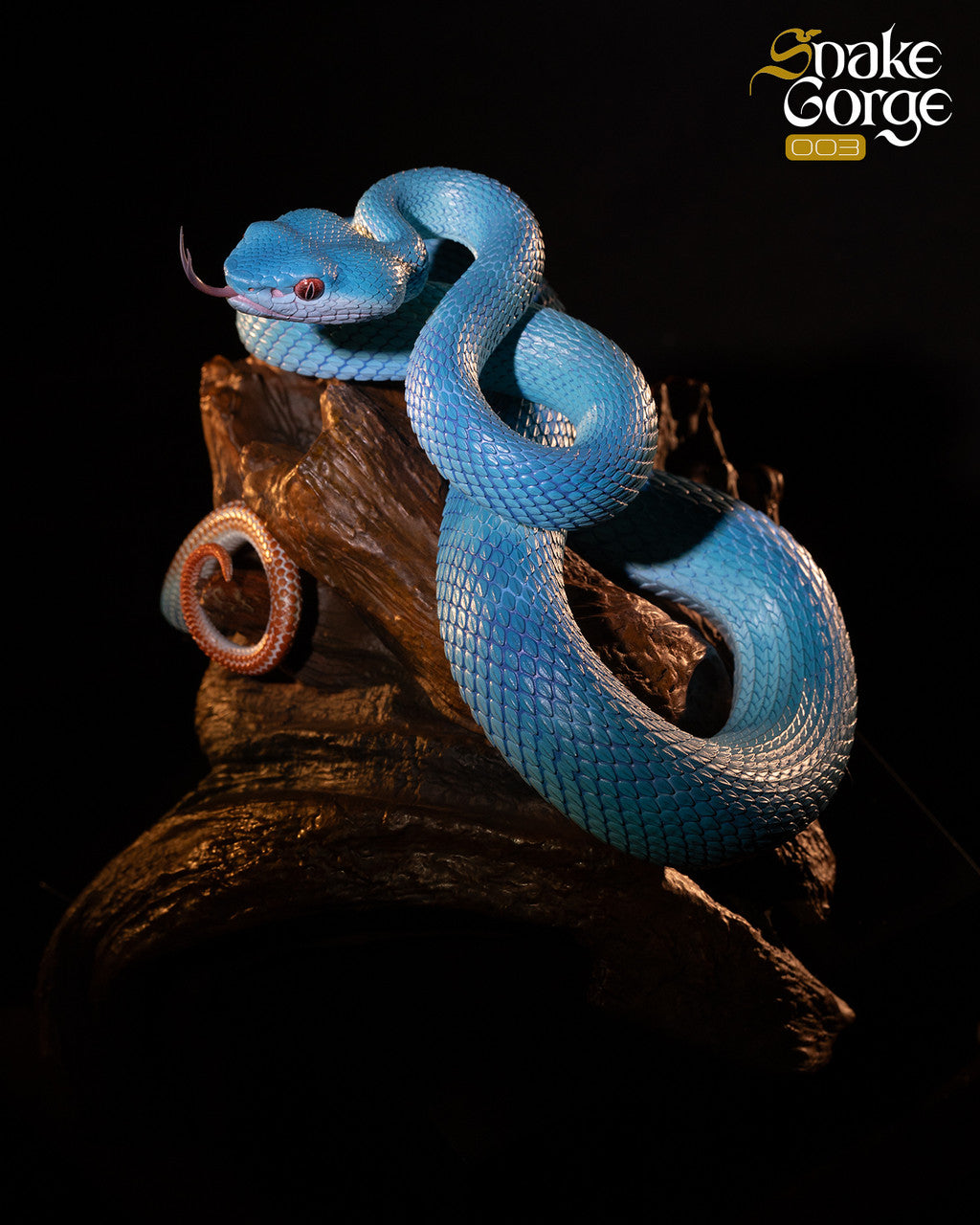 [Pre-Order] Snake Gorge - Statue - Animal museum - Indonesian pit viper