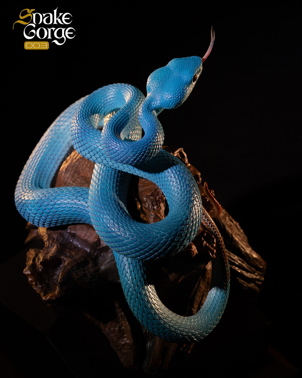 [Pre-Order] Snake Gorge - Statue - Animal museum - Indonesian pit viper