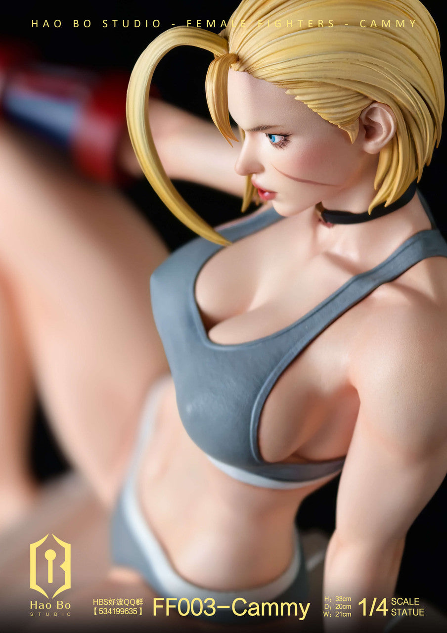 [Warehouse in Stock] Hao Bo Studio - Statue - Street Fighter - Female Fighter Series FF003 Cammy