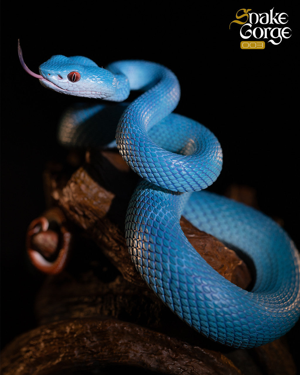 [Pre-Order] Snake Gorge - Statue - Animal museum - Indonesian pit viper